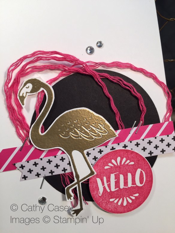 Pop of Paradise Stampin' Up