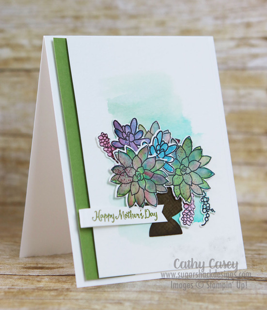 Oh So Succulent Stampin' Up