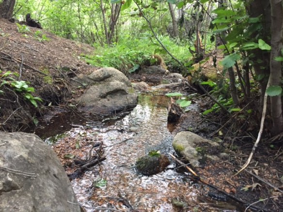 You Deserve This Stampin' Up