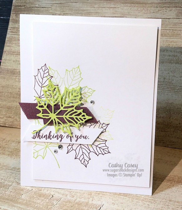 Colorful Seasons Stampin' Up