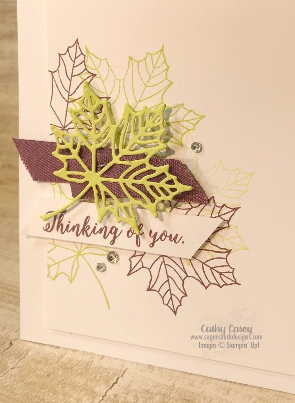 Colorful Seasons Stampin' Up