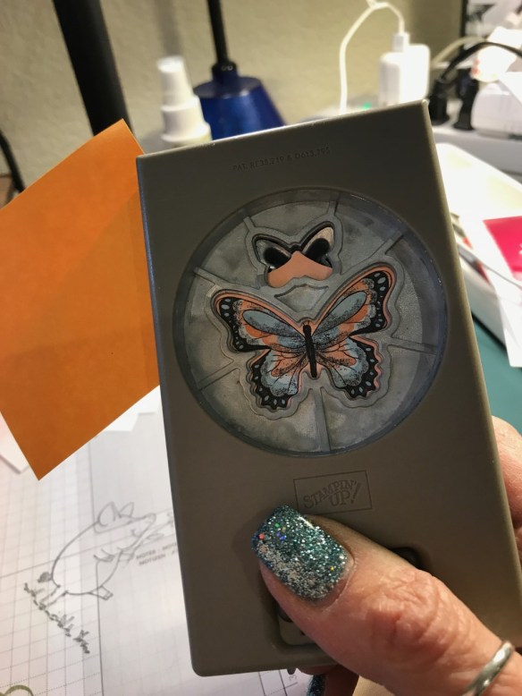 Butterfly Duet Stampin' Up