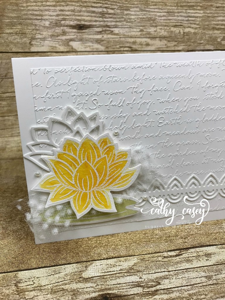 Lovely Lily Pad Stampin' Up